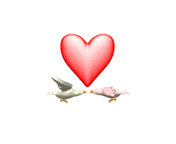 Birds in love