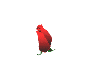 Turning rose